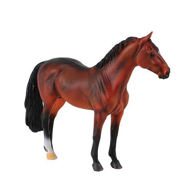 Bay Hanoverian Stallion