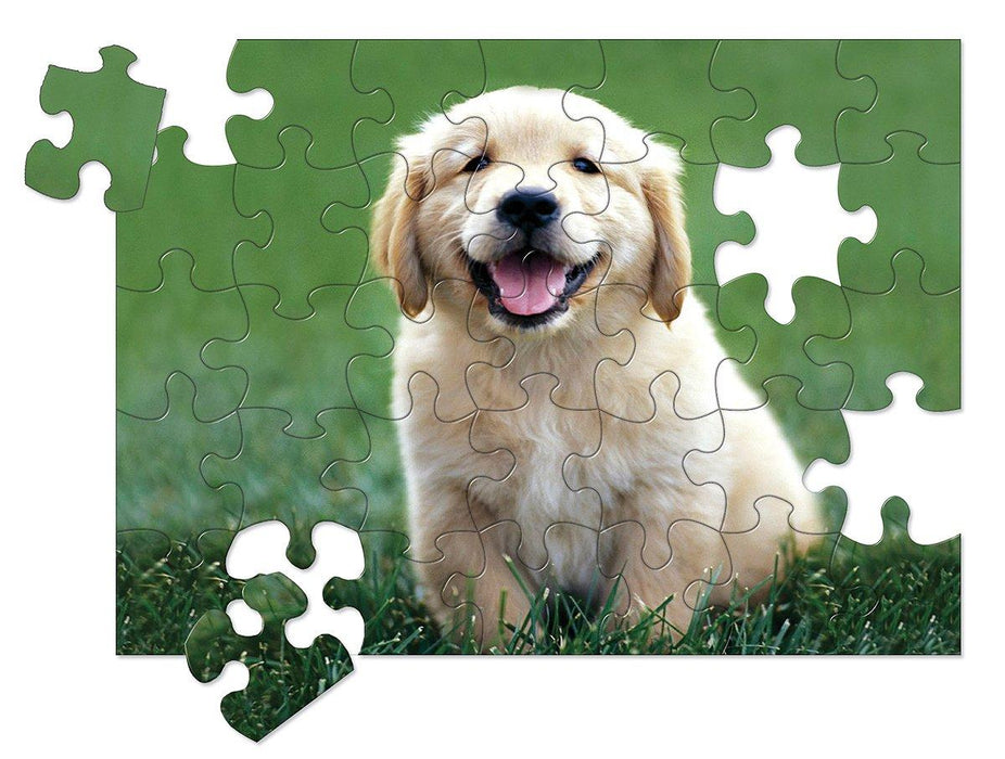 0030 pc Golden Retriever Puppy Cardboard Jigsaw Puzzle