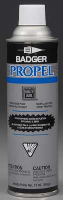 13 oz Propel Can