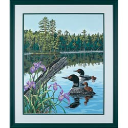 16 x 20 Loon and Irises Paintworks