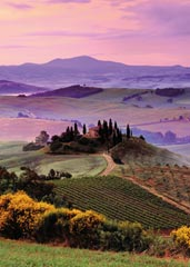 19086 Tuscan Flair 1000 pc