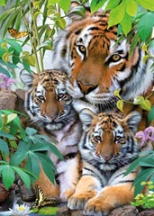 19117 Tiger Family 1000 pc