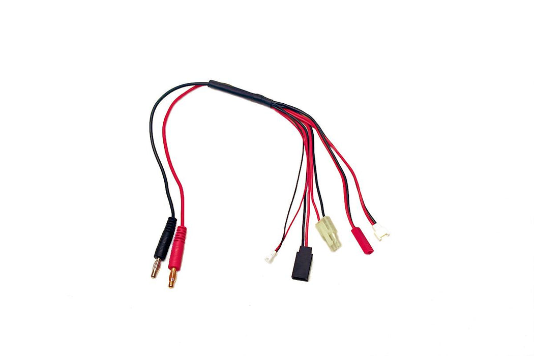 5-Function Mini/Micro Charge