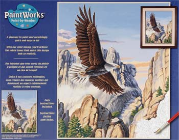 91301 SOARING EAGLE PBN 16X20