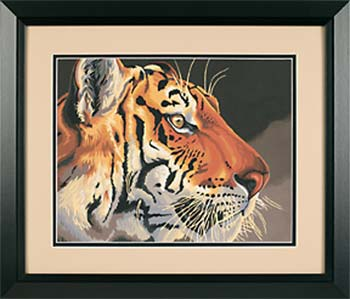 91323 Regal Tiger PBN 14X11