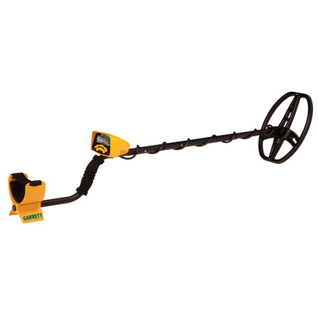 Ace 350 Metal Detector