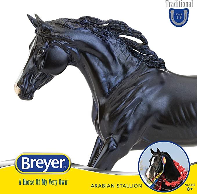 Arabian Stallion KB Omega Fahim Horse