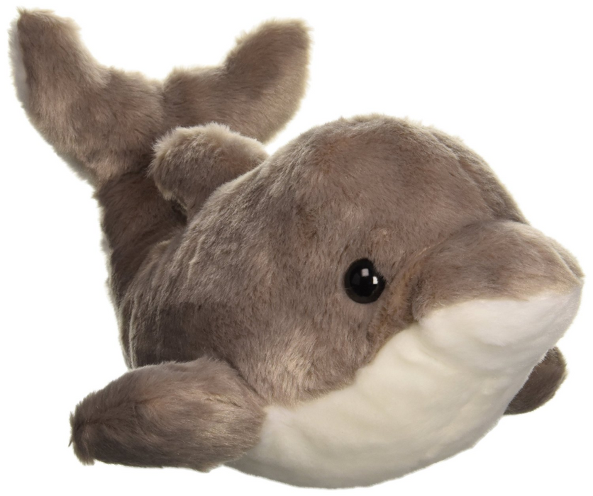 Aurora Dolphin