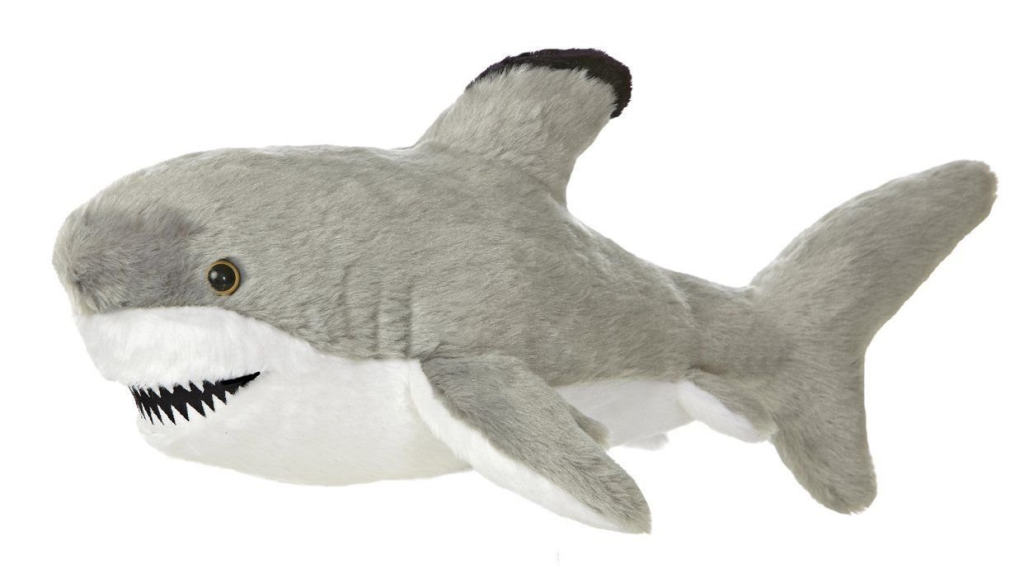 Aurora Shark