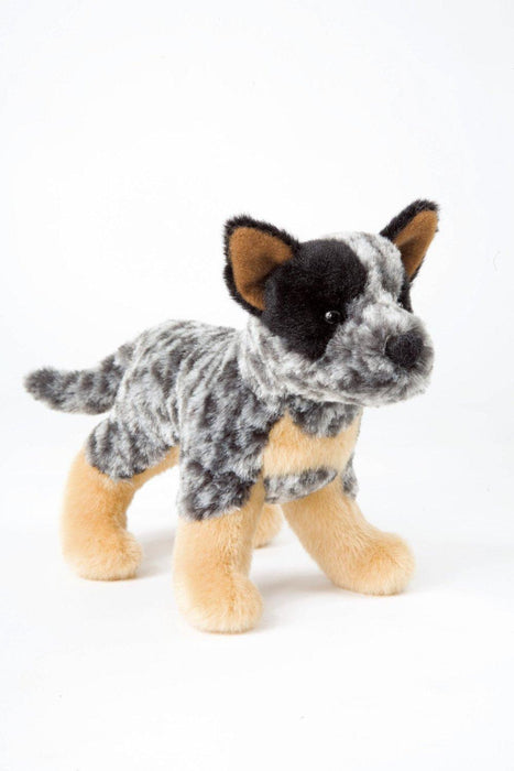 Australian Cattle Dog