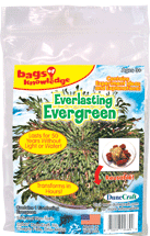Bag of Knowledge - Everlasting Evergreen