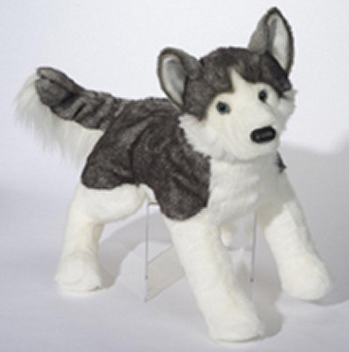 Barker the Husky (Lying Down)