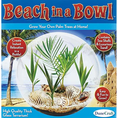 Beach in a Bowl