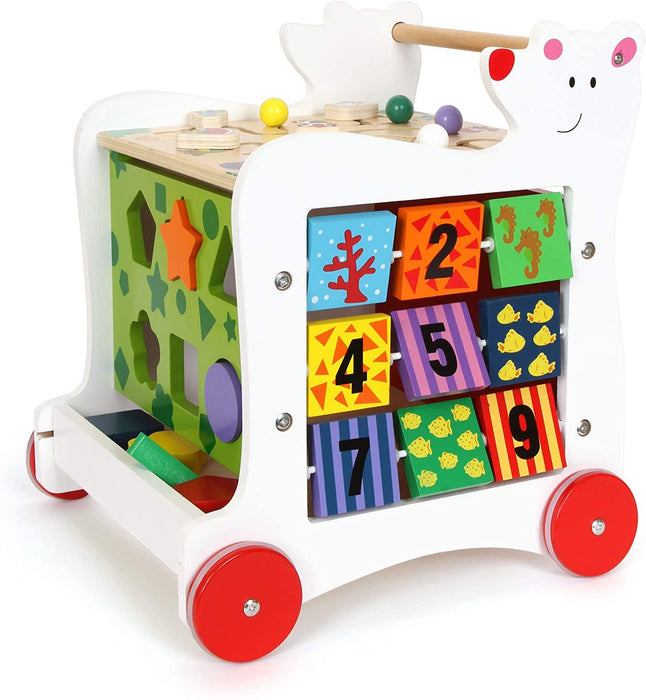 Bear Walker & Activity Cube