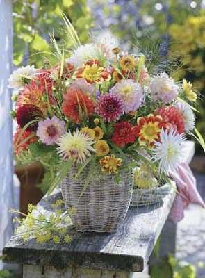 Beautiful Flowers 500pcs