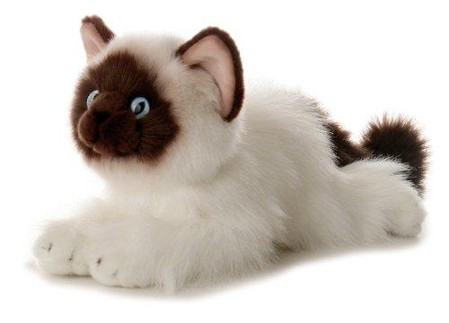 Bella Siamese Cat Flopsie