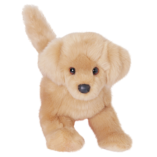 Bella the Golden Retriever