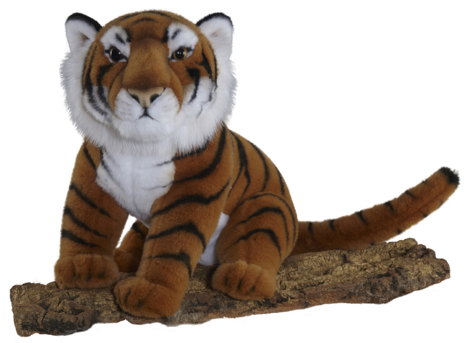 Bengal Tiger - Sitting