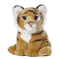 Bengal Tiger Cub