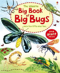 Big Book of Big Bugs Book