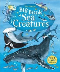 Big Book of Sea Creatures Book
