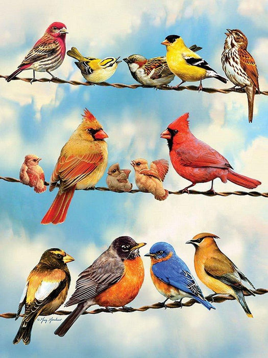 Birds on a Wire 500 pc puzzle