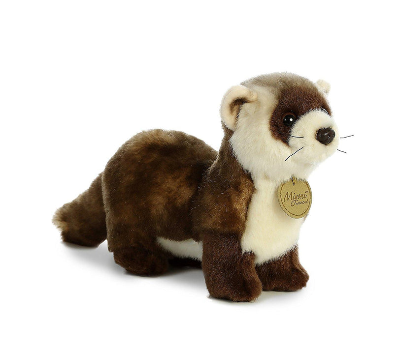 Black Footed Ferret