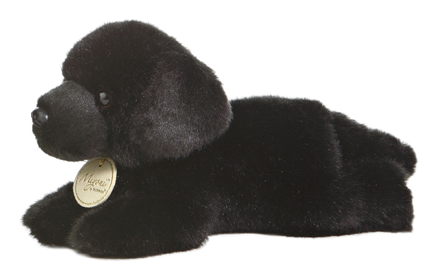 Black Lab - Small