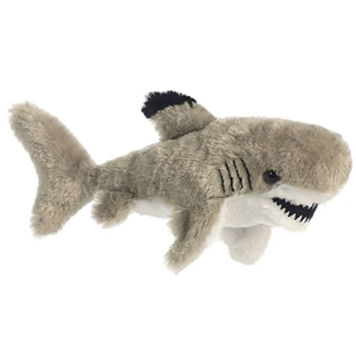 Black Tipped Shark
