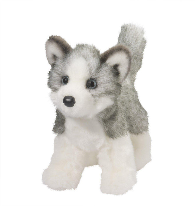 Blaze the Husky Dog