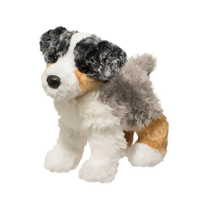 Blitz- Australian Shepherd Dog