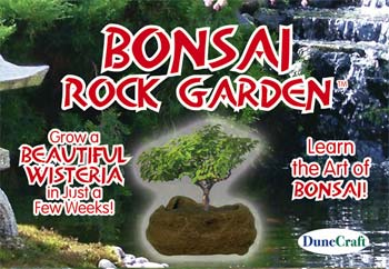 Bonsai Rock Garden Kit