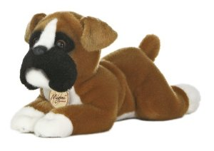 Boxer - Small
