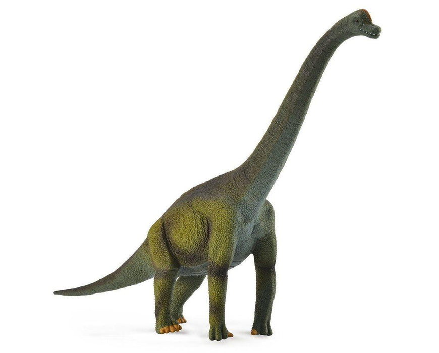 Brachiosaurus