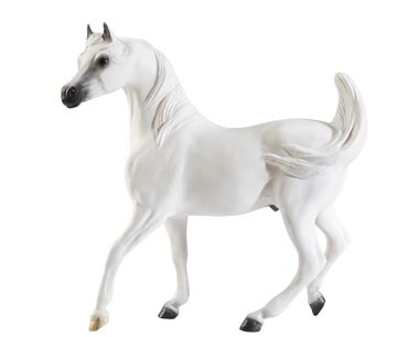 Breyer Shameless