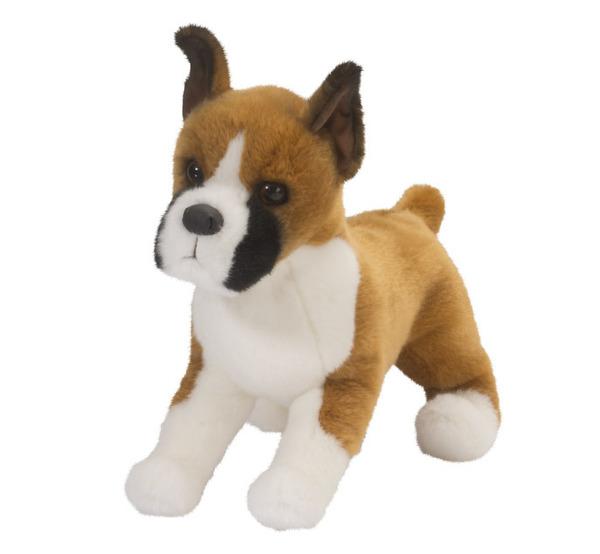 Bruschi the Boxer Dog