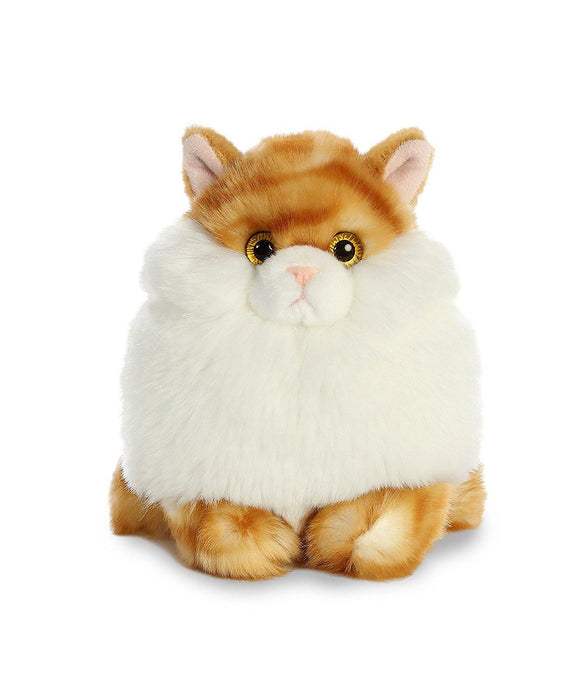 Butterball Tabby Cat