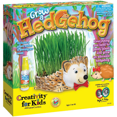 CFK1139000 Grow A Hedgehog