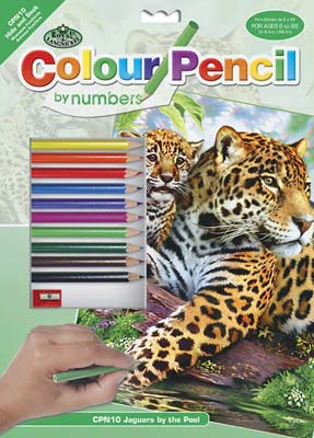 CPN10 Pencil By Number  Jaguars 9x12