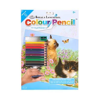 CPN14 Color Pencil KITTENS