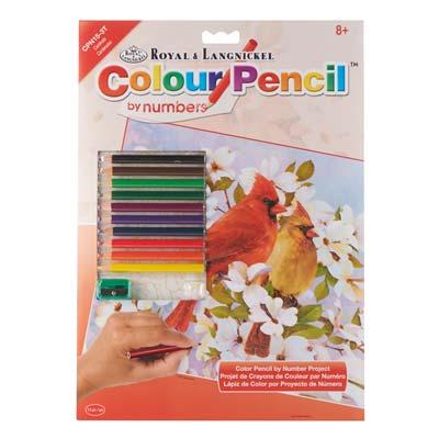 CPN15 Color Pencil CARDINALS
