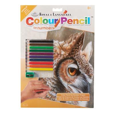 CPN19 Color Pencil SEPIA OWL