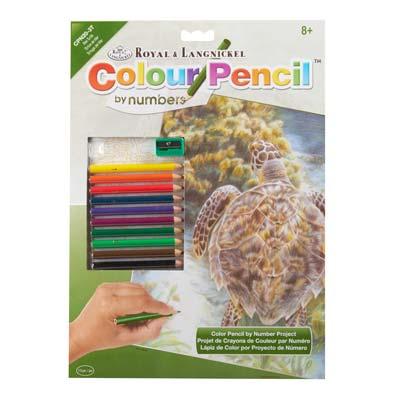 CPN20 Color Pencil  SEA TURTLE