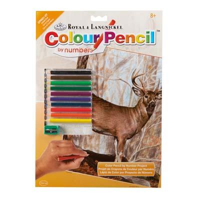 CPN21 Color Pencil WHITETAIL BUCK