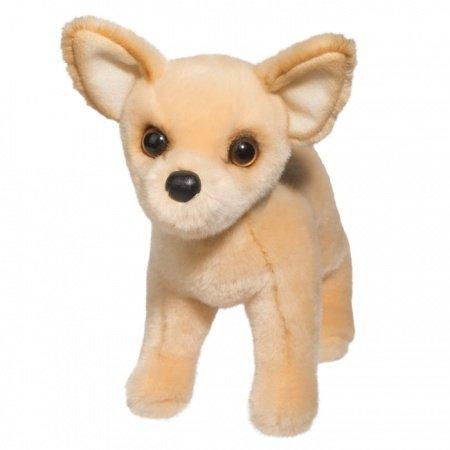 Carlos Chihuahua Dog
