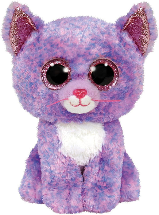 Cassidy- Cat Lavndr Reg
