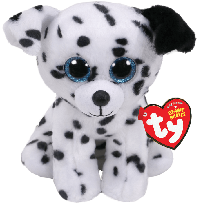 Catcher Dalmatian Regular