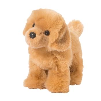 Chap the Golden Retriever Dog