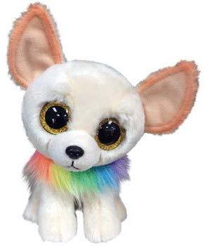 Chewey- Chihuahua Med