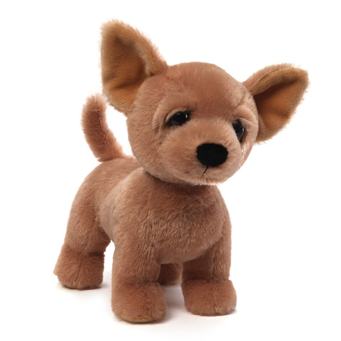Chico Chihuahua